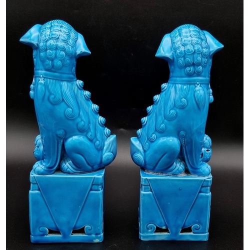 1279 - An Excellent Condition Vintage Pair of Chinese Blue Porcelain Dogs of Fo. Makers Stamp on Base. 25cm... 