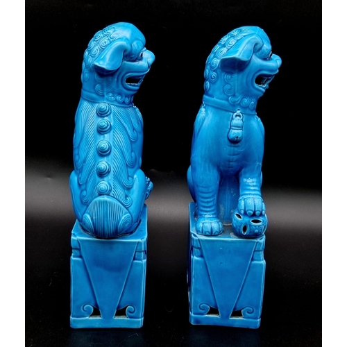 1279 - An Excellent Condition Vintage Pair of Chinese Blue Porcelain Dogs of Fo. Makers Stamp on Base. 25cm... 