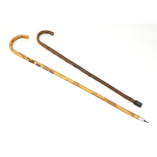 1272 - Two Interesting 1930 German/Swiss Stalking Canes - One is Decorated with German Place Emblems. Hand ... 