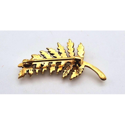 592 - A 9k Yellow Gold and Seed Pearl Leaf Brooch. 3.5cm. 3.36g total weight.