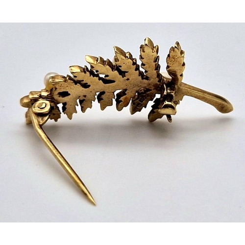 592 - A 9k Yellow Gold and Seed Pearl Leaf Brooch. 3.5cm. 3.36g total weight.