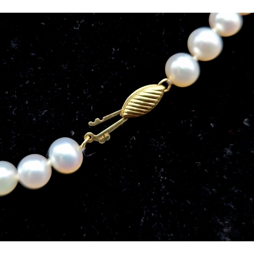 699 - A South Sea Pearl Necklace with a 14K Yellow Gold Clasp. Typical pearl size 7mm. 27.8g total weight.... 