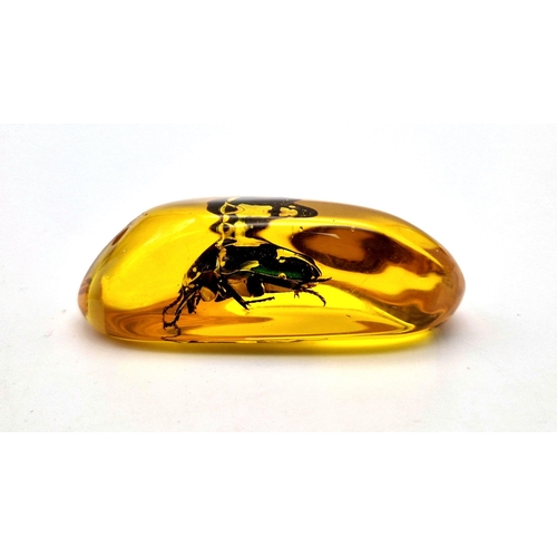 988 - A Large Green Beetle In an Amber Coloured Resin Pendant. 7 x 3.5cm.