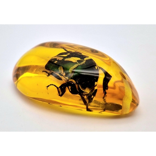 988 - A Large Green Beetle In an Amber Coloured Resin Pendant. 7 x 3.5cm.