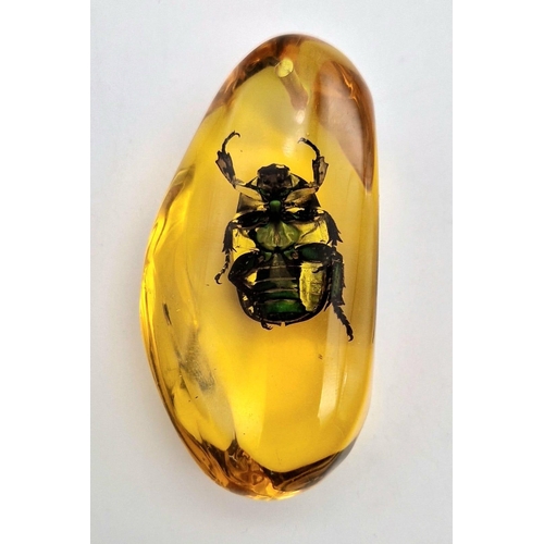 988 - A Large Green Beetle In an Amber Coloured Resin Pendant. 7 x 3.5cm.