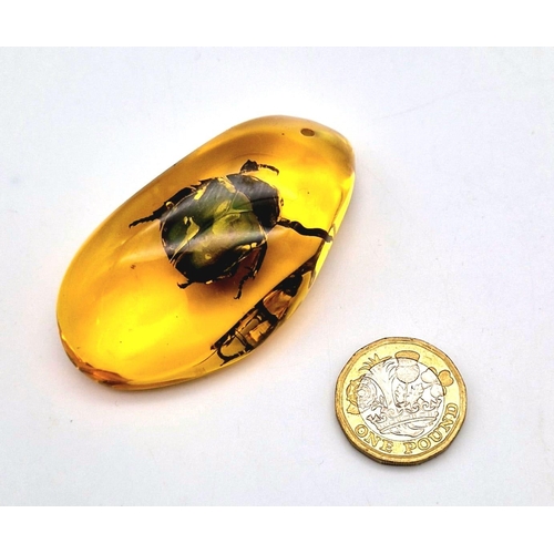 988 - A Large Green Beetle In an Amber Coloured Resin Pendant. 7 x 3.5cm.