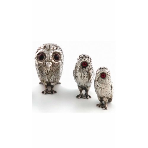 269 - A magnificent 19th century rare silver antique original four piece owl cruet set by Goerge Richards ... 