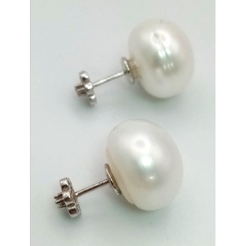 481 - A PAIR OF STERLING SILVER FRESHWATER PEARL STUD EARRINGS.