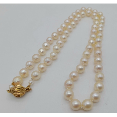 396 - A Vintage Cultured Quality Pearl Necklace with a 14K Gold Clasp. 46cm. 28.5g total weight. Comes in ... 