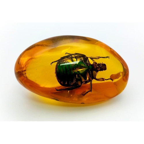 431 - A Large Bright Green Beetle Trapped in an Amber Coloured Resin Pendant. 7cm.