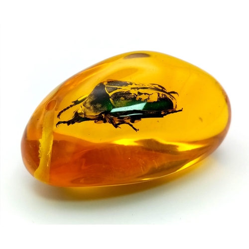 431 - A Large Bright Green Beetle Trapped in an Amber Coloured Resin Pendant. 7cm.