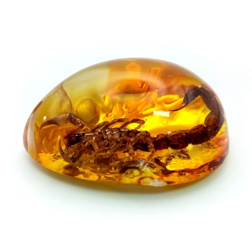 870 - A Scary Looking Scorpion Trapped In Amber Coloured Resin. Pendant or small paperweight. 6cm