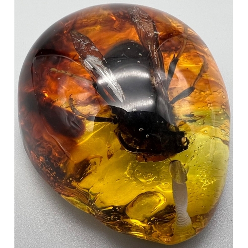 1495 - An Awful Looking Black Hornet Type Creature Trapped in Amber Coloured Resin. Pendant or small paperw... 