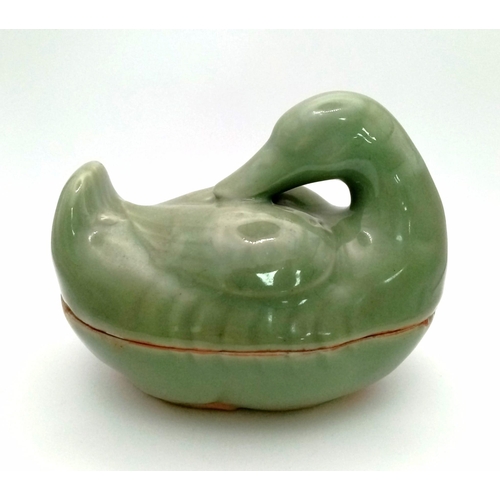 90 - A RARE ANTIQUE CHINESE CELADON DUCK , LENGTH 130mm and height 110mm , FOUND IN A JAPANESE KURA UNDIS... 