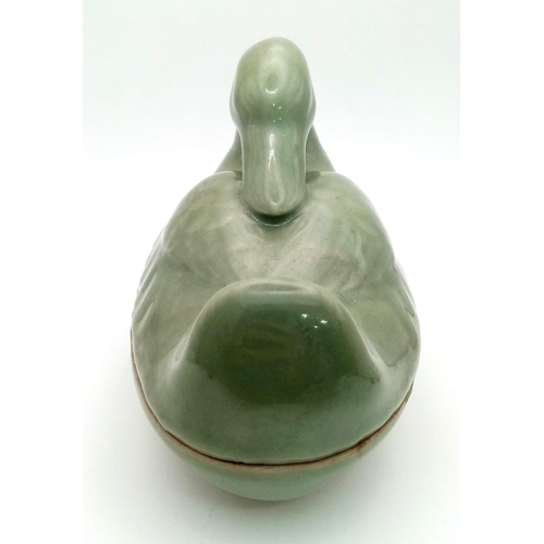 90 - A RARE ANTIQUE CHINESE CELADON DUCK , LENGTH 130mm and height 110mm , FOUND IN A JAPANESE KURA UNDIS... 