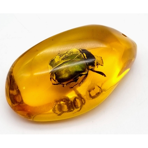 465 - A Large Vibrant Green Coloured Beetle Trapped inside an Amber-Coloured Resin Pendant or Small Paperw... 