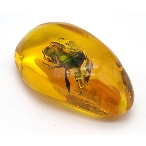 465 - A Large Vibrant Green Coloured Beetle Trapped inside an Amber-Coloured Resin Pendant or Small Paperw... 