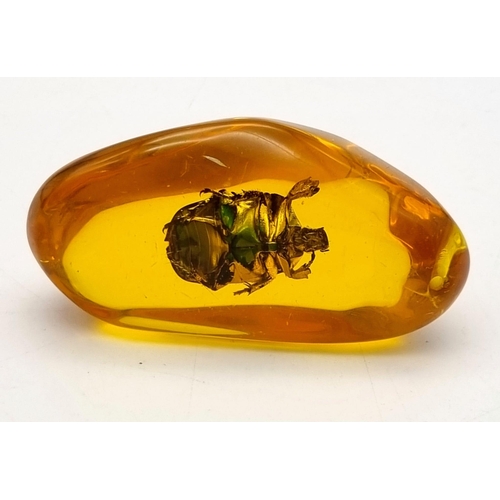 465 - A Large Vibrant Green Coloured Beetle Trapped inside an Amber-Coloured Resin Pendant or Small Paperw... 