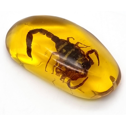 937 - A Nasty-Looking Scorpion Trapped in an Amber-Coloured Resin Pendant or Small Paperweight. 7cm.