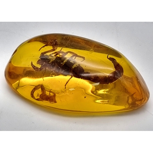 937 - A Nasty-Looking Scorpion Trapped in an Amber-Coloured Resin Pendant or Small Paperweight. 7cm.