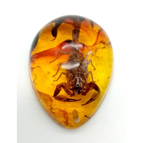 1363 - A Nightmarish Looking Scorpion in Amber Coloured Resin. Pendant or small paperweight.