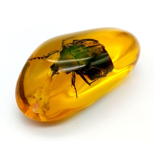 425 - A Bright Green Beetle in an Amber Coloured Resin Pendant or Small Paperweight. 7cm.