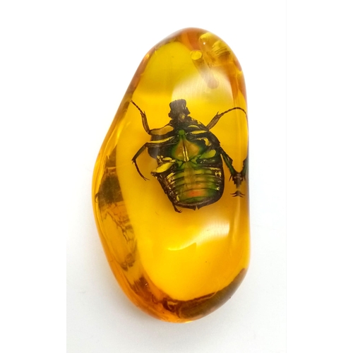 425 - A Bright Green Beetle in an Amber Coloured Resin Pendant or Small Paperweight. 7cm.