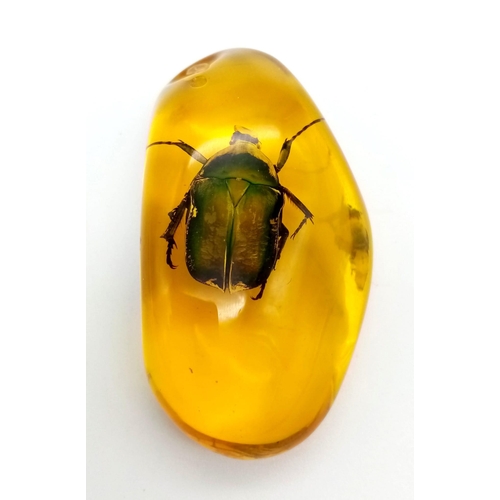 425 - A Bright Green Beetle in an Amber Coloured Resin Pendant or Small Paperweight. 7cm.