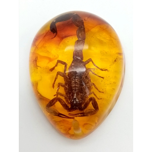 448 - A Ruthless Looking Scorpion Trapped in An Amber Coloured Resin. Pendant or paperweight. 6cm.