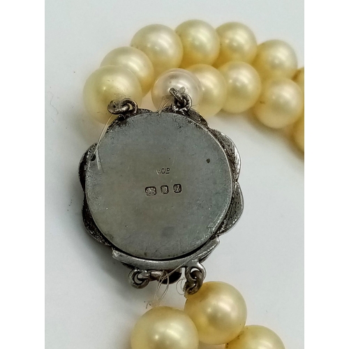 684 - Vintage 1966/67 Fully Hallmarked London Silver Stone Set Double String Pearl Necklace 34cm Length