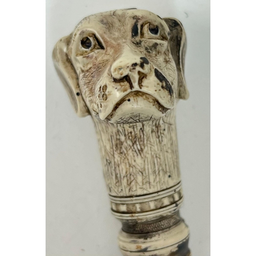 292 - An Antique Dog Mascot Walking Stick. Hand-carved bone dog figure atop an exotic wood shaft. Total le... 