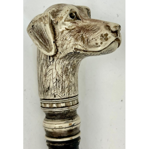 292 - An Antique Dog Mascot Walking Stick. Hand-carved bone dog figure atop an exotic wood shaft. Total le... 