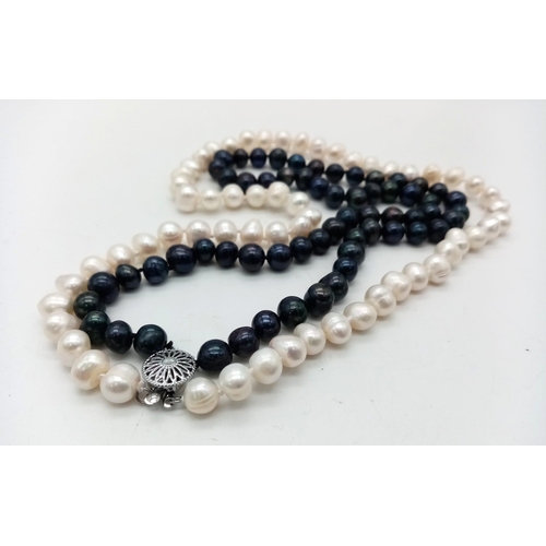 359 - A White and Black Two-Row Freshwater Akoya Pearl Necklace. 44 - 48cm.