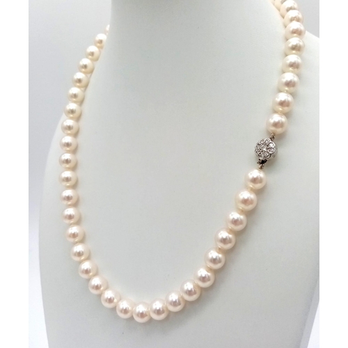 369 - A Natural Champagne-Coloured South Sea Pearl Necklace with a Platinum and Diamond Clasp. 42cm. Pearl... 