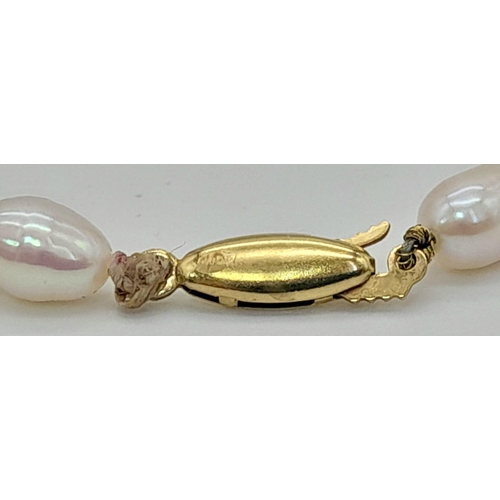 482 - An 18K Gold Clasp and Oval Strand Pearl Necklace. Opera length. 78cm. Ref:11449