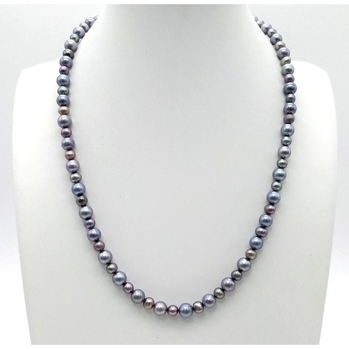 745 - Freshwater Grey Pearl Necklace with Silver Clasp. 40cm length.