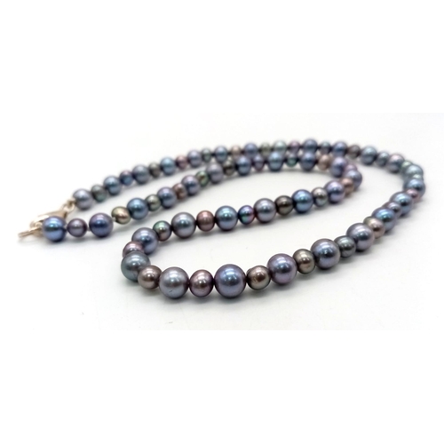 745 - Freshwater Grey Pearl Necklace with Silver Clasp. 40cm length.