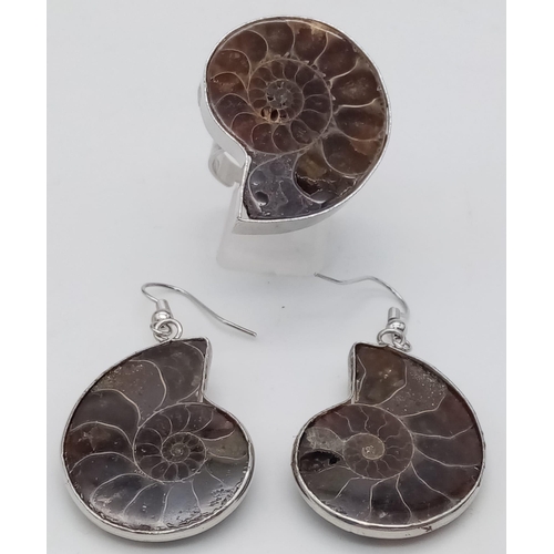 174 - A wonderful set of ring and matching earrings with Moroccan Ammonites 350 million years old. Present... 