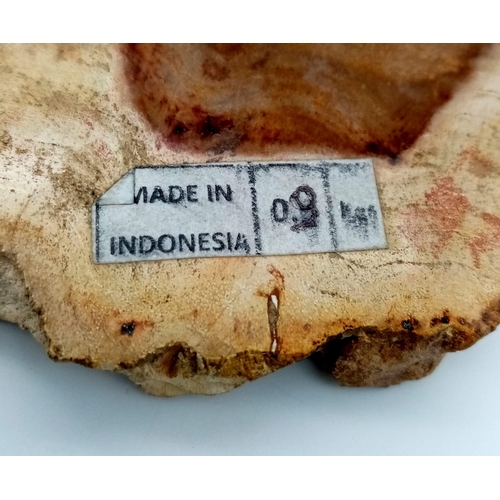 132 - A very unusual section of a fossil branch from a tropical tree. Location: East Java, Age: Lower Eoce... 