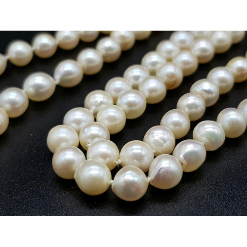 914 - A Cultured Freshwater Pearl Necklace with a Silver Clasp. 66cm. 7/8mm pearls.