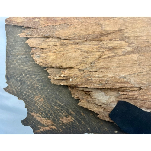 1 - Large Section of Damaged Wooden Propeller Blade from a Crashed World War 2 Supermarine Spitfire. Pro... 