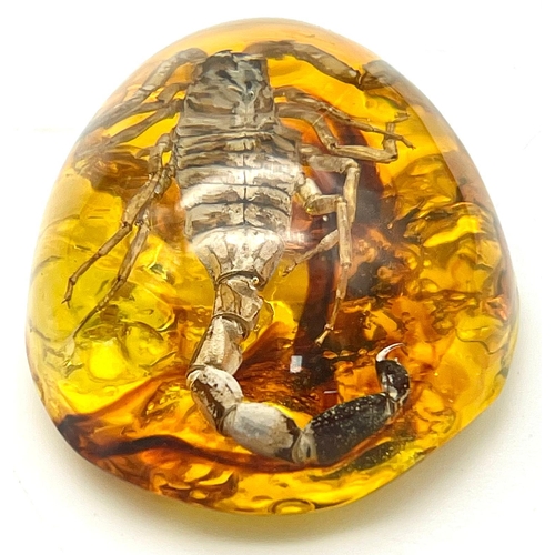 1479 - Imagine Being Stung by this Scorpion! Fear not, as the amber coloured resin will protect you. Pendan... 