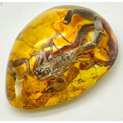 1479 - Imagine Being Stung by this Scorpion! Fear not, as the amber coloured resin will protect you. Pendan... 