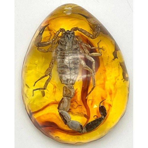 1479 - Imagine Being Stung by this Scorpion! Fear not, as the amber coloured resin will protect you. Pendan... 