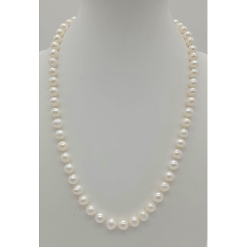 1321 - New 44cm South Sea Pearl Necklace 9 Carat Gold Clasp Hand Knotted on Silk. In Presentation Box