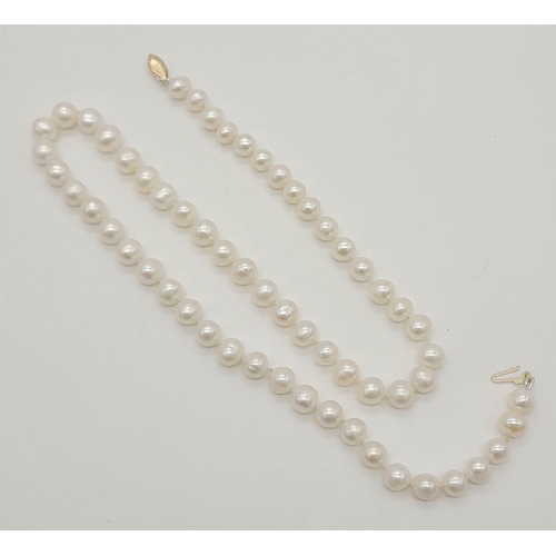 1321 - New 44cm South Sea Pearl Necklace 9 Carat Gold Clasp Hand Knotted on Silk. In Presentation Box