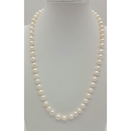 1337 - New 44cm South Sea Pearl Necklace 9 Carat Gold Clasp Hand Knotted on Silk In Presentation Box.