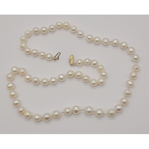 1337 - New 44cm South Sea Pearl Necklace 9 Carat Gold Clasp Hand Knotted on Silk In Presentation Box.