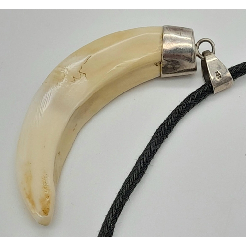 1514 - Vintage Sterling Silver Mounted Boar Tusk Cord Necklace (Believed to be German Origin Mid 20th Centu... 