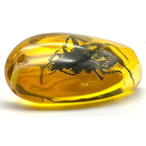 928 - A Large Green/Black Scary Looking Beetle in Amber Coloured Resin. Pendant or paperweight. 7cm